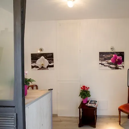 公寓 Le Orchidee